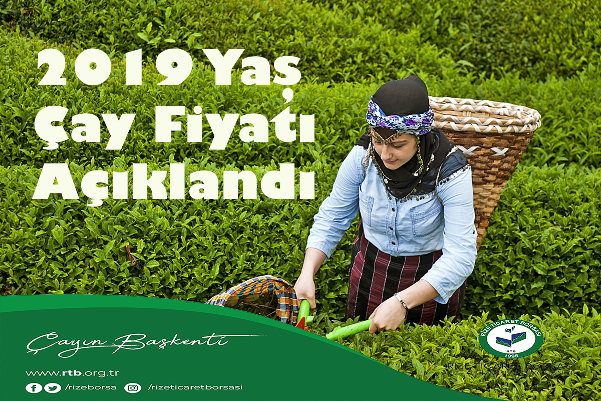 2019 Yaş Çay Fiyatı Açıklandı