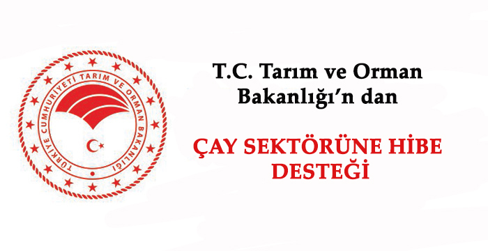 ÇAY SEKTÖRÜNE HİBE DESTEĞİ