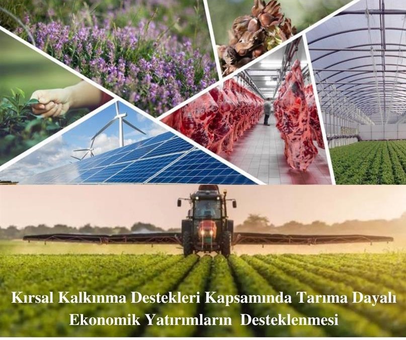 TARIMA DAYALI EKONOMİK YATIRIMLARININ DESTEKLENMESİ