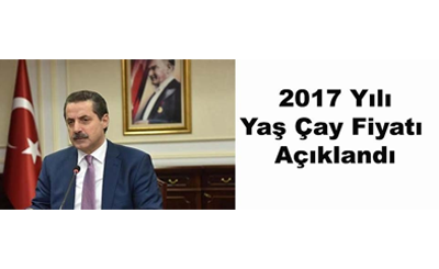 2017 Yılı Yaş Çay Fiyatı