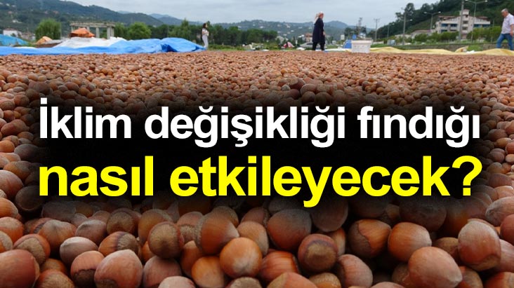 FINDIK TARIMINDA İKLİM DEĞİŞİKLİĞİNİN ROLÜ ÇALIŞTAYI