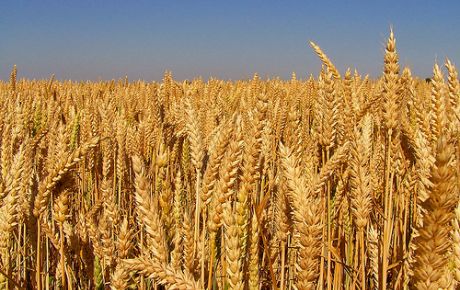 Et ve Süt Ürünleri Hk.