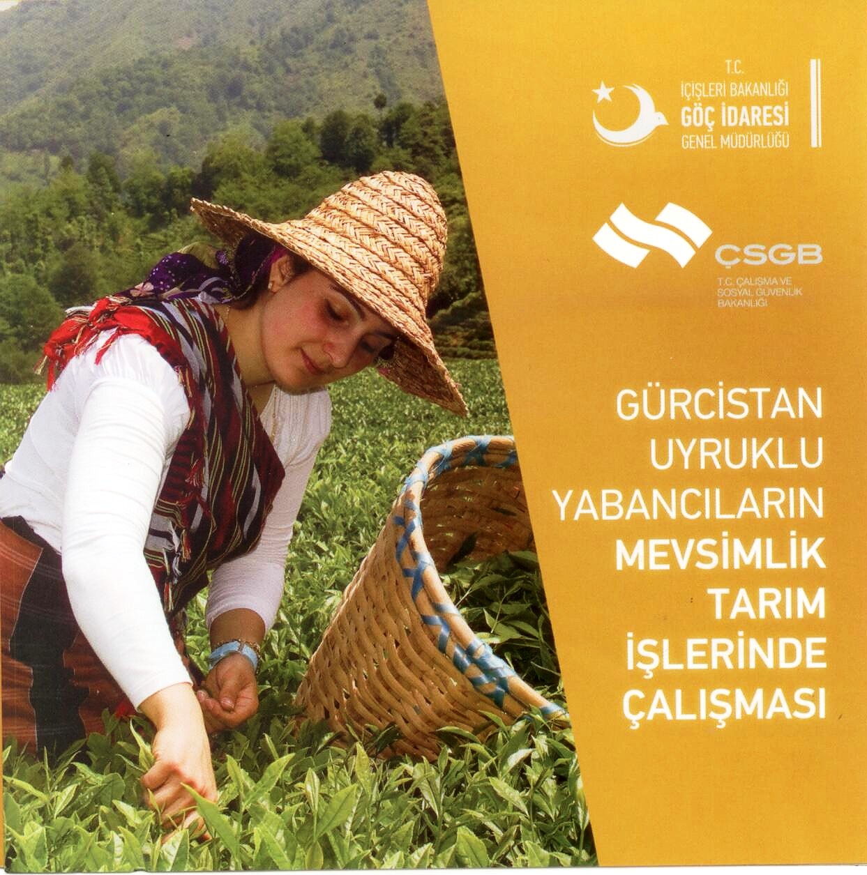 Gürcistan Uyruklu Yabancıların Mevsimlik Tarım İşlerinde Çalışması