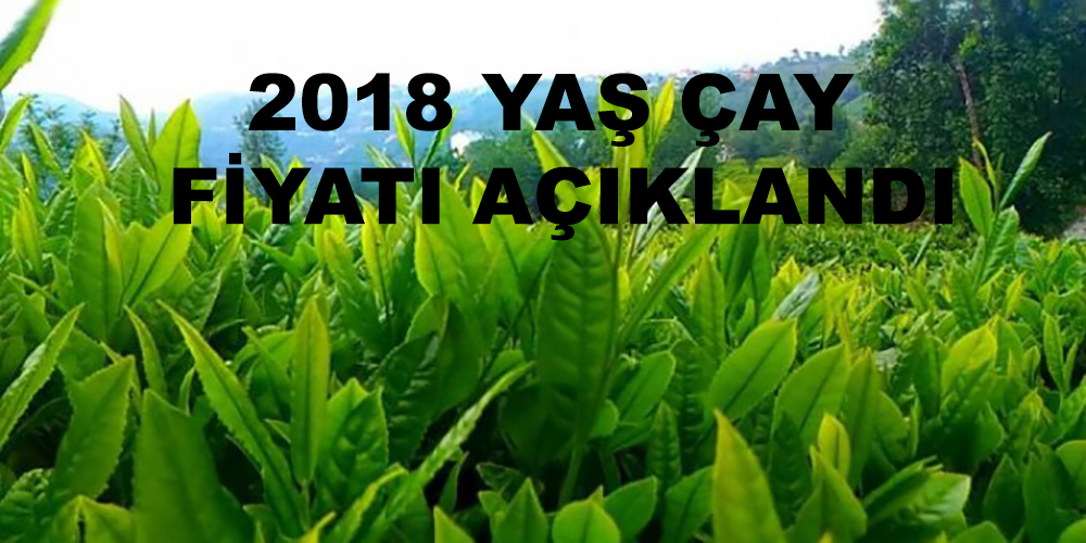 2018 Yaş Çay Fiyatı Açıklandı