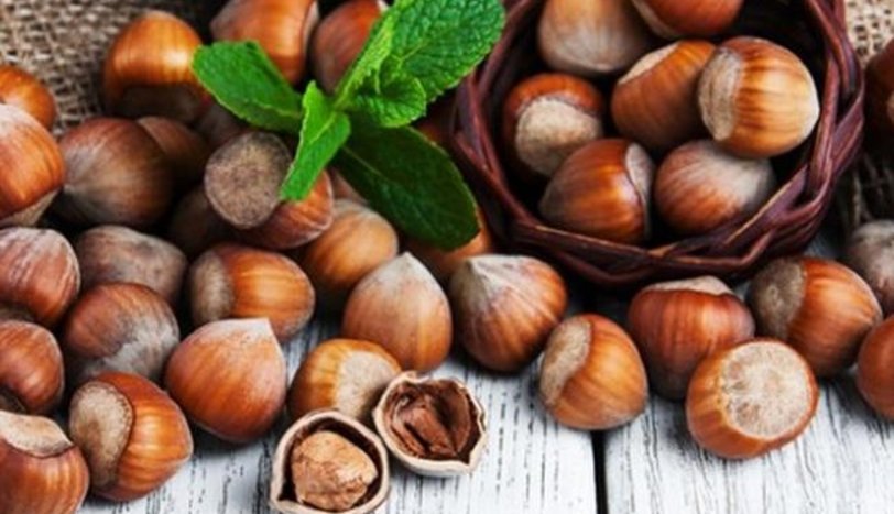 Kabuklu Fındık Satışı